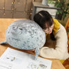 Image of Hot 3D Novelty Throw Pillows Cute Real Life Sea Lion Plush Toys Soft Seal Plush Stuffed Plush Housewarming Party Hold Pillow