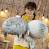 Image of Hot 3D Novelty Throw Pillows Cute Real Life Sea Lion Plush Toys Soft Seal Plush Stuffed Plush Housewarming Party Hold Pillow